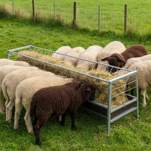 מתקן האכלה לכבשים מפלדה מגולוונת עמידה |   ציוד לבעלי חיים ידידותי לסביבה במצב חדש עם אחריות ל-6 חודשים לעזים - Product Image 6
