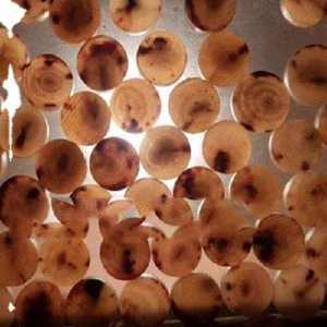 Eco-Friendly Handmade Customized Cow Horn <b>Suit</b> <b>Buttons</b> Large Size Multiple Colors - Product Image 6