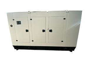 Generador diésel industrial de 135kVA, motor Ricardo, generador de energía de respaldo automático silencioso para fábrica, hospital, Negocios, Hogar - Product Image 3