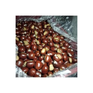 เมล็ดเกาลัดสดแบบออร์แกนิกปอกเปลือก - Product Image 3
