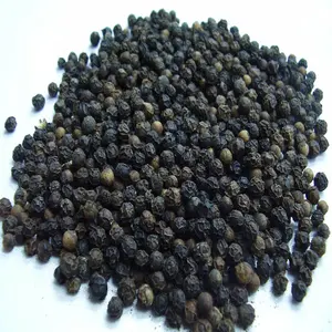 VIETNAM BLACK PEPPER 500gl 550gl 5MM from Vietnam BEST SELLING (Mobile/ WA: +84986778999 David Director)