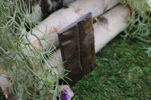 Escamas para Cuchillos Artesanales Premium, Rústicas y Ecológicas, Personalizadas con Cuerno de Carnero, Corteza Natural Orgánica, Texturizadas y sin Acabado - Product Image 3