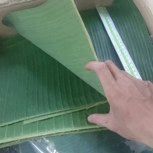 Feuille de bananier tropicale congelée du Vietnam récoltée et congelée pour maintenir la qualité naturelle - Product Image 1