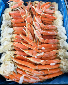 Patas de Cangrejo Rey Congeladas IQF, Garras Rojas Puntiagudas, 2.5 kg, Origen Estadounidense, para Restaurantes y Servicios de Catering - Product Image 5