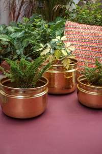 Large metal planter with golden finished polish ideal for placing <b>ornamental</b> trees in entryways or large open spaces - Product Image 2