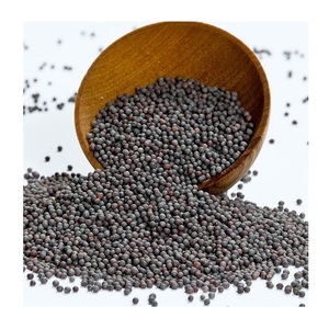 Prix Offre Spéciale des graines de colza/graines de canola/colza à vendre - Product Image 3