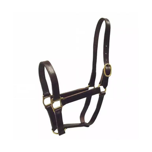 Accesorios de brida de caballo de lujo hechos en la India, herrajes de doble hebilla de latón macizo, fácil ajuste, cuero de sillín australiano - Product Image 2