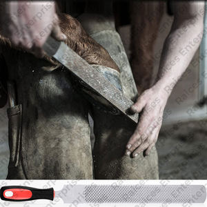 Kit d'outils de maréchal-ferrant professionnel très résistant pour les soins des chevaux en vente en gros Ensemble de haut de gamme de haute qualité quantité minimale de commande bas Professionnel robuste réutilisable - Product Image 4