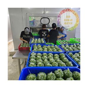 ใบมันสำปะหลังสดแช่แข็งรสชาติธรรมชาติและคุณภาพสูง/ส่วนผสมอาหารสำหรับร้านอาหารทั่วโลก/ขายส่งเวียดนาม - Product Image 6