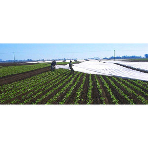 KOSITE Agriculture Ground Cover Fabric 100% Polypropylene Spunbond Nonwoven <b>Medium</b> Weight Outdoor Use - Product Image 5