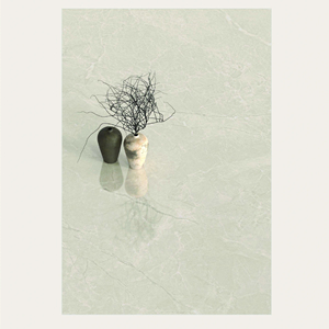 Dalles de porcelaine à finition brillante sans fin 600x1200, aspect marbre, pour murs et sols - Product Image 1