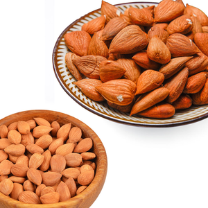 Noyau d'abricot | Rendement élevé en huile pour les marques de produits naturels - Product Image 5