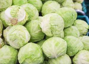 Fábrica de repollo seco de alta calidad, vacaciones - Product Image 6