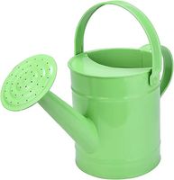 Bidon d'eau/pot en étain galvanisé naturel pour la décoration de jardin à la maison Arroseur intelligent Fournitures pour la maison et le jardin Arrosoir en métal