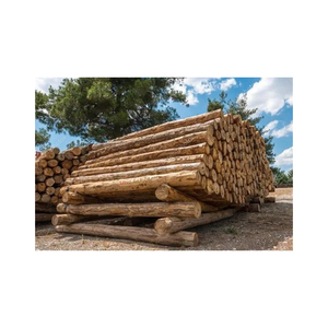 Top Selling Pine <b>Wood</b> Timber <b>Logs</b> Natural Eucalyptus <b>Wood</b> Lumber Planks Diverse Types for Furniture Construction and Teak <b>Wood</b> - Product Image 3