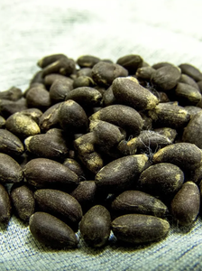 ผู้จำหน่ายเมล็ดฝ้ายดิบออร์แกนิกขายส่งตลาดสากลอายุการเก็บรักษา12เดือนทั่วโลก - Product Image 4