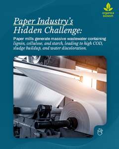 Traitement des eaux usées des pâtes et papiers - Product Image 2