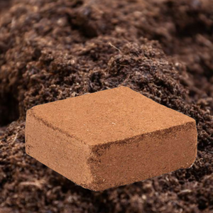 TOP ITEM Affordable Coconut Peat Blocks for Organic <strong>Soil</strong> Mix 5kg from Vietnam with Excellent Water Retention - Product Image 1