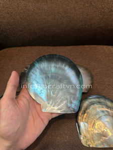 High Quality GOLD Pearl <b>Plate</b> Mother of Pearl <b>Plate</b> Caviar Mop Dish Made of Natural Shell Yellow Lip Color Size 9-12cm - Product Image 5