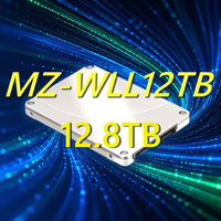 Hard Drive PM1725 MZ-WLL12TB 12.8TB U.2 PCIe Gen3 NVMe 6gbs 2.5in Internal Enterprise SSD untuk Pusat Data Server MZ-WLL12THMLA-00005