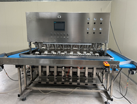16-Head Elektrische Industriële Mango Dunschiller Automatische Fruit-En Groenteschilmachine