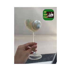 GOBELET À COCKTAIL EN COQUILLE MODERNE FAIT MAIN GOBELET POLI CONCH POUR LA DÉCORATION DE MARIAGE DE LUXE ET L'UTILISATION D'ÉVÉNEMENTS CRÉATIFS - Product Image 3