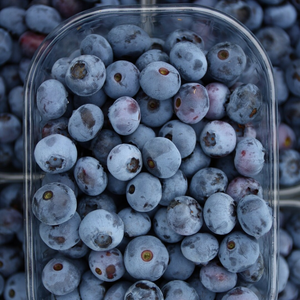 Fruits de Myrtille Frais Naturels Délicieux de Haute Qualité - Qualité Premium - Approvisionnement en Gros - Product Image 4