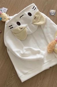 Vêtements de sport imprimés en 3D Harajuku pour hommes, sweat-shirt à capuche à imprimé léopard pour l'automne, style décontracté pour hommes et femmes - Product Image 3