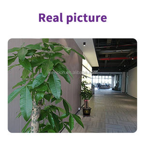 Caméra intelligente WiFi 2MP grand angle avec vision nocturne, détection de mouvement et stockage dans le cloud pour la surveillance des bébés - Product Image 3