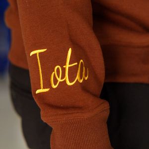 HBCU Iota felpa in ciniglia colta marrone e oro lettere ricamate in cotone Premium Divine nove greco Life abbigliamento - Product Image 4