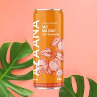 Kombucha Perzik Thee Concentraat Gemengd Vruchtensap Met Natuurlijke Zoetzure Smaak