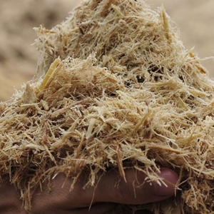 น้ำตาลอ้อย // ชานอ้อยหมักสำหรับอาหารสัตว์ที่มีสารอาหารสูง - Product Image 4