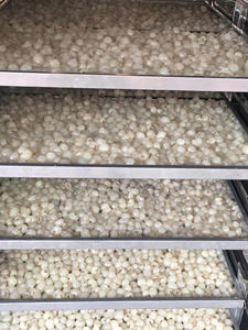 VENTE CHAUDE Longane séché Utilisé pour la fabrication de boissons, la cuisine et la préparation des aliments Pour la vente en gros en vrac Vietnam - Product Image 4