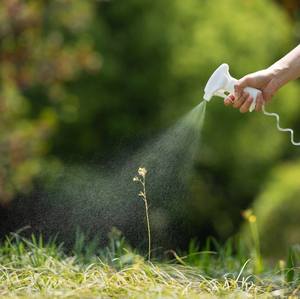 Répulsif manuel prêt à l'emploi pour cerfs et lapins 1L avec pulvérisateur à gâchette pour tuyau d'arrosage de jardin - Product Image 2