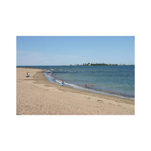 Madera de calidad para todos sus proyectos de carpintería disponible a precios inmejorables Consiga Beech Long para todos sus proyectos de construcción - Product Image 2