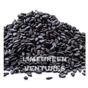 Semillas de sésamo negro a granel Nigella Seeds Til Seeds Exportador y proveedor de productos agrícolas de alta calidad fabricante de sésamo negro - Product Image 1