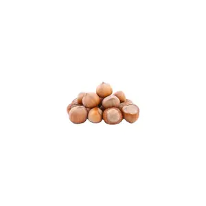 Bulk Hazelnuts from a nationwide wholesale supplier of nuts and seeds. Wholesale Hazelnuts