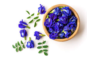 Dried Butterfly Pea Flower <b>Loose</b> Blue Flower for Beverage Ingredient - Product Image 2