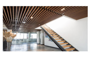 Hot Bán thiết kế hiện đại vách ngăn Trần Thổ Nhĩ Kỳ kim loại Trần nội thất Vinyl kết thúc không thấm nước kích cỡ khác nhau màu sắc có sẵn - Product Image 3