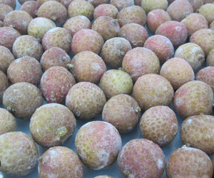 ลิ้นจี่แช่แข็งจำนวนมากข้อเสนอพิเศษ - Product Image 3