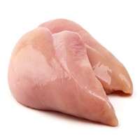 Filet de poitrine de poulet surgelé sans os de qualité supérieure |   Filets de poulet halal de haute qualité, sans graisses trans, en vrac, riches en vitamines, prix compétitifs