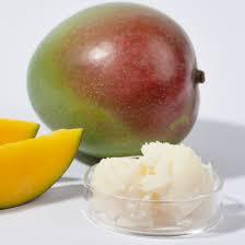 Vente en gros de beurre de mangue cru et pressé à froid non raffiné pour la peau, les cheveux, le savon et les cosmétiques | OEM/Fournisseur de marque privée d'Inde - Product Image 2