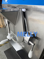 Machine dure italienne de Gelato de crème glacée 160L/H avec la vitesse de mélange réglable