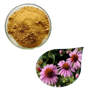 Bán buôn 100% tinh khiết tự nhiên <span class=keywords><strong>Echinacea</strong></span> chiết xuất bột 4% polyphenol bột <span class=keywords><strong>Echinacea</strong></span> Purpurea chiết xuất - Product Image 3