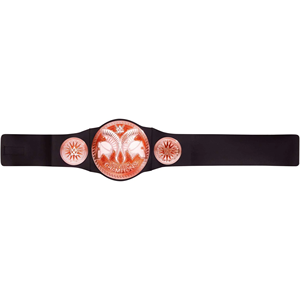 2025 WWE Smackdown Tag Team Championship Titre Ceinture Plaques de zinc légères Winged Eagle Championship Ceintures en cuir - Product Image 3