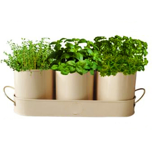 Maceta galvanizada decorativa para colgar en la pared para funciones de boda, decoración de jardín, hogar, balcón, maceta decorativa, jarrón - Product Image 6