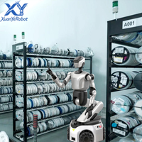 Robot humanoïde : Mouvement à double bras pour l'alimentation des pièces automobiles et le tri en e-commerce avec une portée de ±180° °   Couverture complète de la taille et de la taille haute