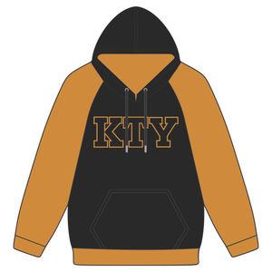 Sweat à capuche brodé avec lettres Alpha APA, noir premium et manches raglan or vieilli, vêtements de fraternité grecque, vêtements Divine Nine HBCU - Product Image 2