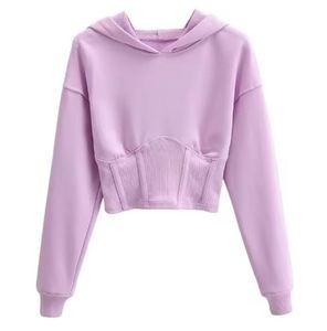 2025 nouveau hiver pull à capuche ample coton épais sweats à capuche femmes haut court conception fabrication - Product Image 1