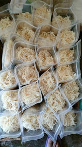 Seamoss | แห้งสีน้ำตาลเหลืองม่วงสาหร่าย Eucheuma cottonni เวียดนาม100% ธรรมชาติจากเวียดนาม - Product Image 4